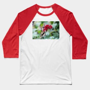 Swallowtail Butterfly Underside Baseball T-Shirt